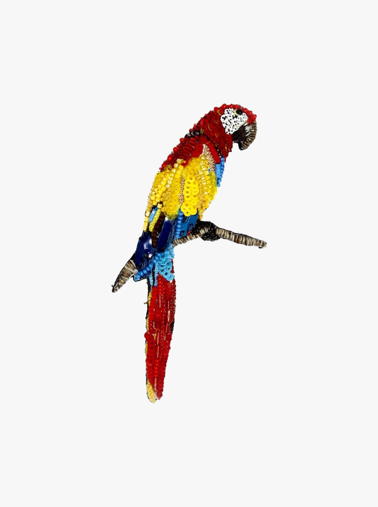 Ara Macaw