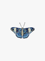 Blue Calico Cracker Butterfly