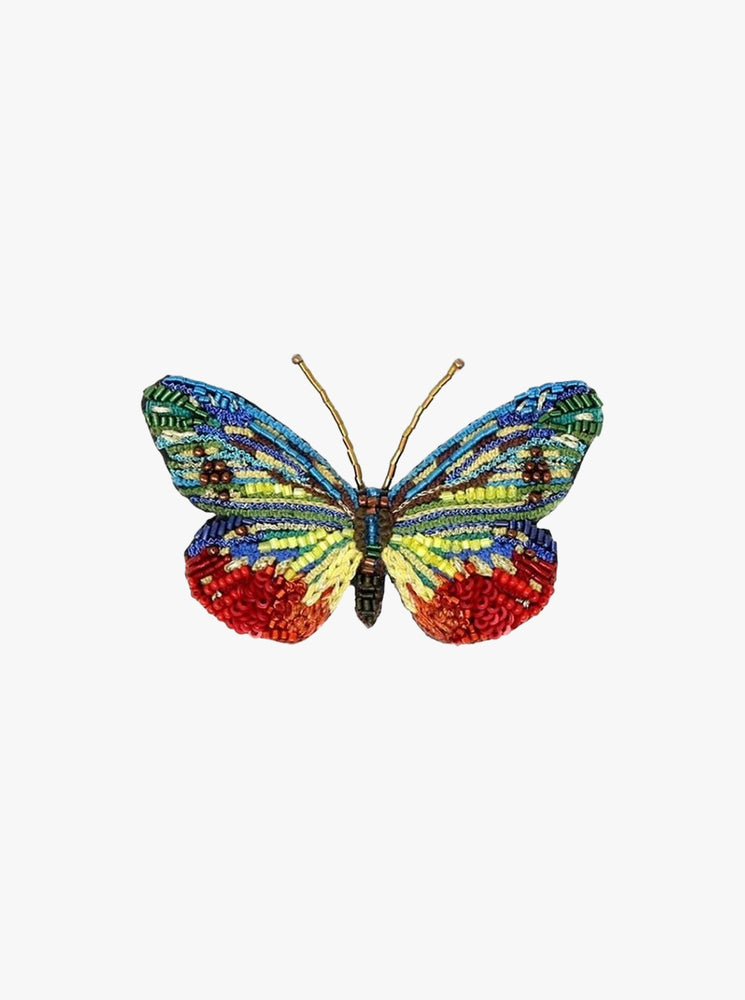 Cepora Jewel Butterfly