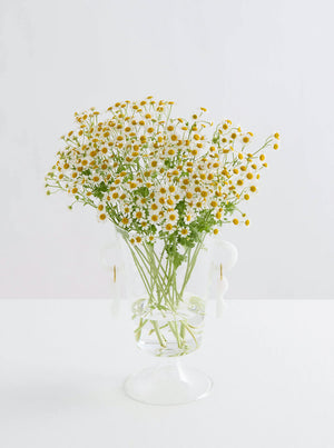 The Happy Vase - Clear & Opaque White
