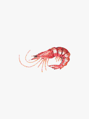 
            
                Load image into Gallery viewer, True Shrimp
            
        